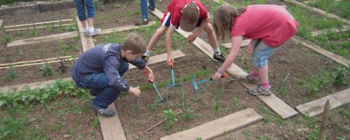 school-garden-1737320_1920