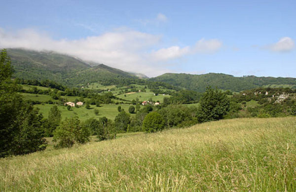 Entorno