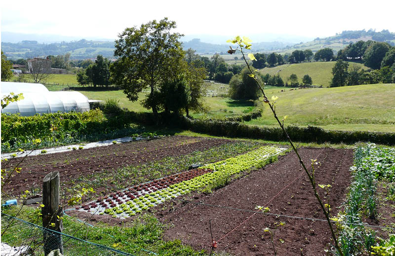 ¿Qué es producción ecológica?